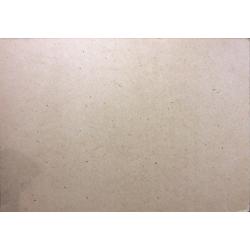 Васин В. А. Гуси