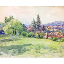 Васин В. А. Летний Львов