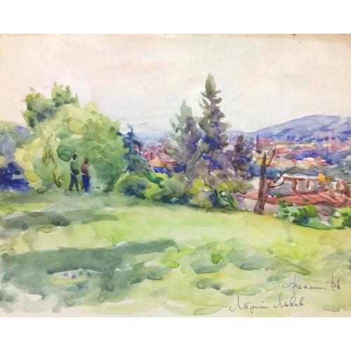 Васин В. А. Летний Львов