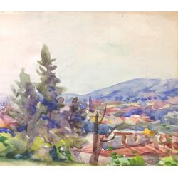 Васин В. А. Летний Львов