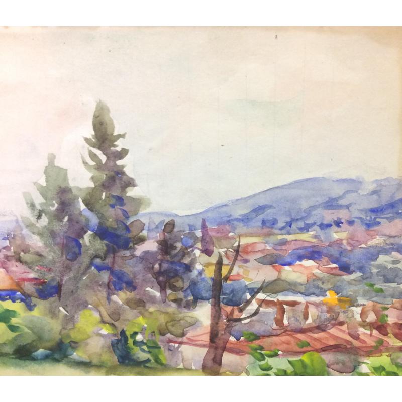 Васин В. А. Летний Львов