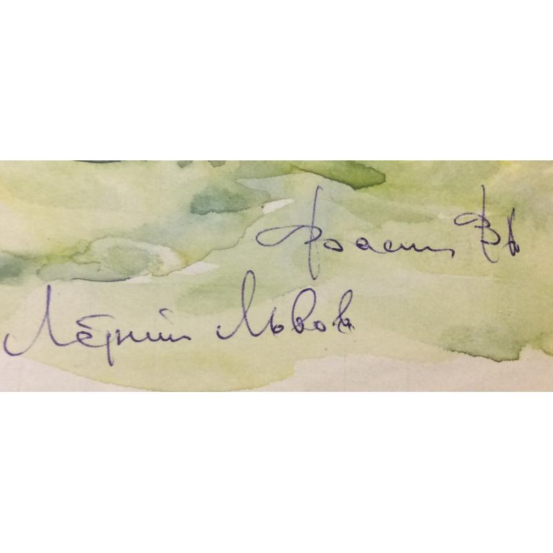 Васин В. А. Летний Львов