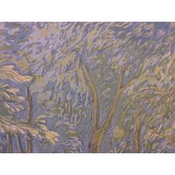 Дехтерёва Т.А. Юные авиамоделисты