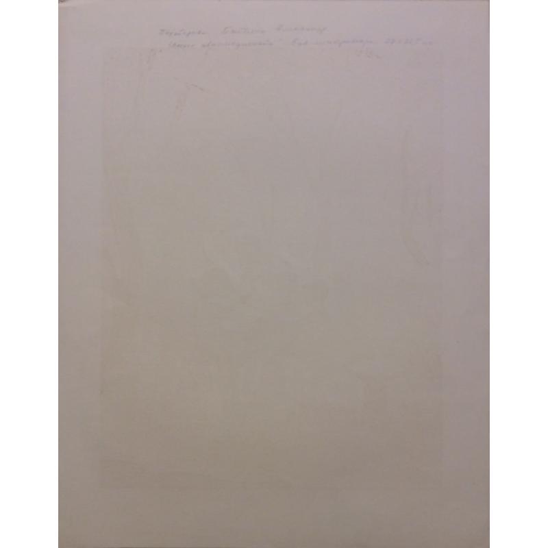 Дехтерёва Т.А. Юные авиамоделисты