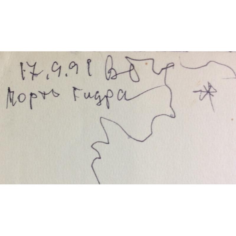 Барвенко В. П. Порто Гидра