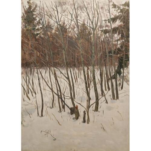 Сысоев Н.А. В лесу ранней весной