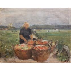 Тарасенко В.В. Сбор помидор