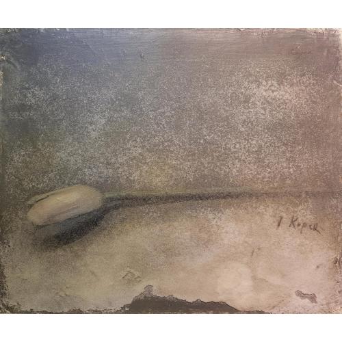 Купер (Куперман) Ю. Л. Тюльпан