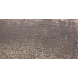 Купер (Куперман) Ю. Л. Тюльпан