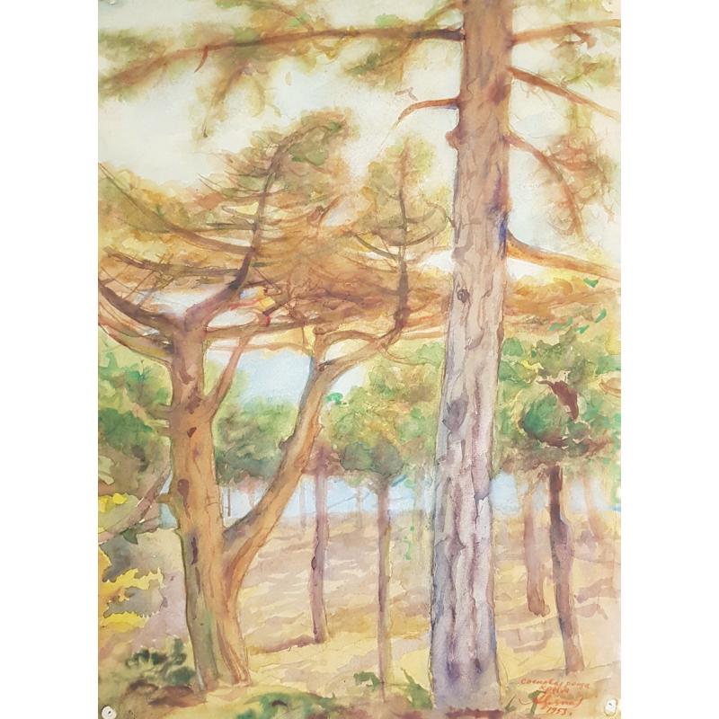 Хряков А.Ф. Крым. Сосновая роща