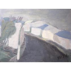 Дынников В.П. Спуск