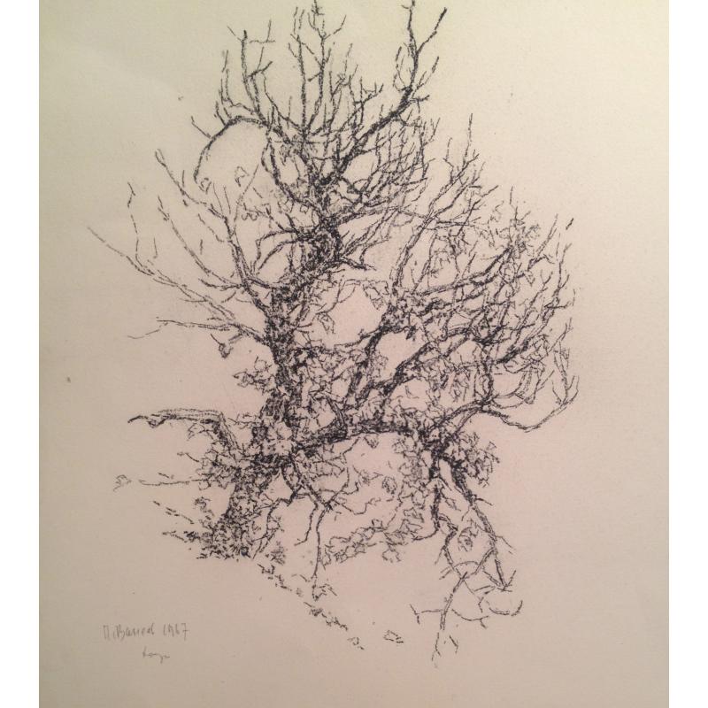 Ванеев П.И. Дерево в снегу