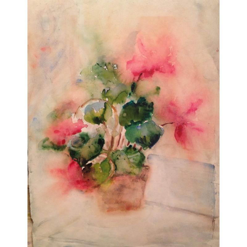 Солодовникова Н.А. Цикламены