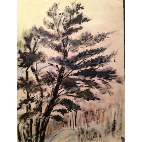 Солодовникова Н.А. Пейзаж с деревом на переднем плане