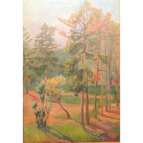 Закликовская С.Л. Сосны освещенные солнцем