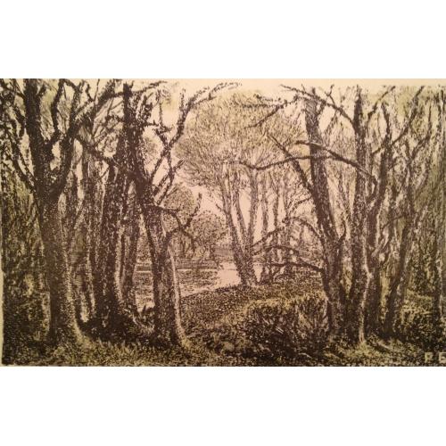 Барто Р.Н. Деревья у водоема