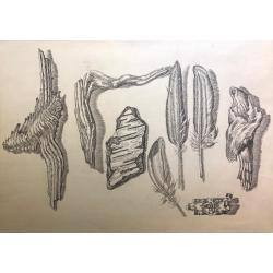 Плавинский Д. П. Кора и перья
