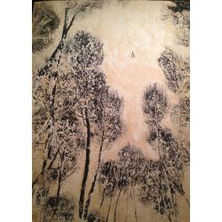 Бурмистров Б. А. Сосны