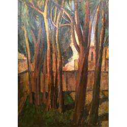 Пасько Г.И. Эвкалипты