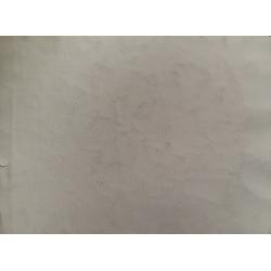 Коровина А.П. Москва. На улице