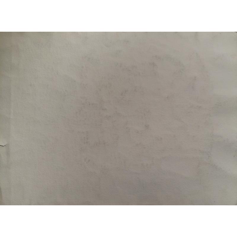 Коровина А.П. Москва. На улице