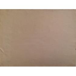 Коровина А.П. Дом Пашкова