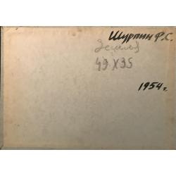 Шурпин Ф.С. Земля
