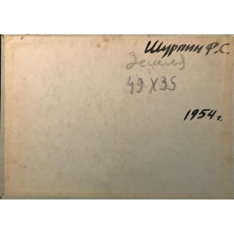 Шурпин Ф.С. Земля