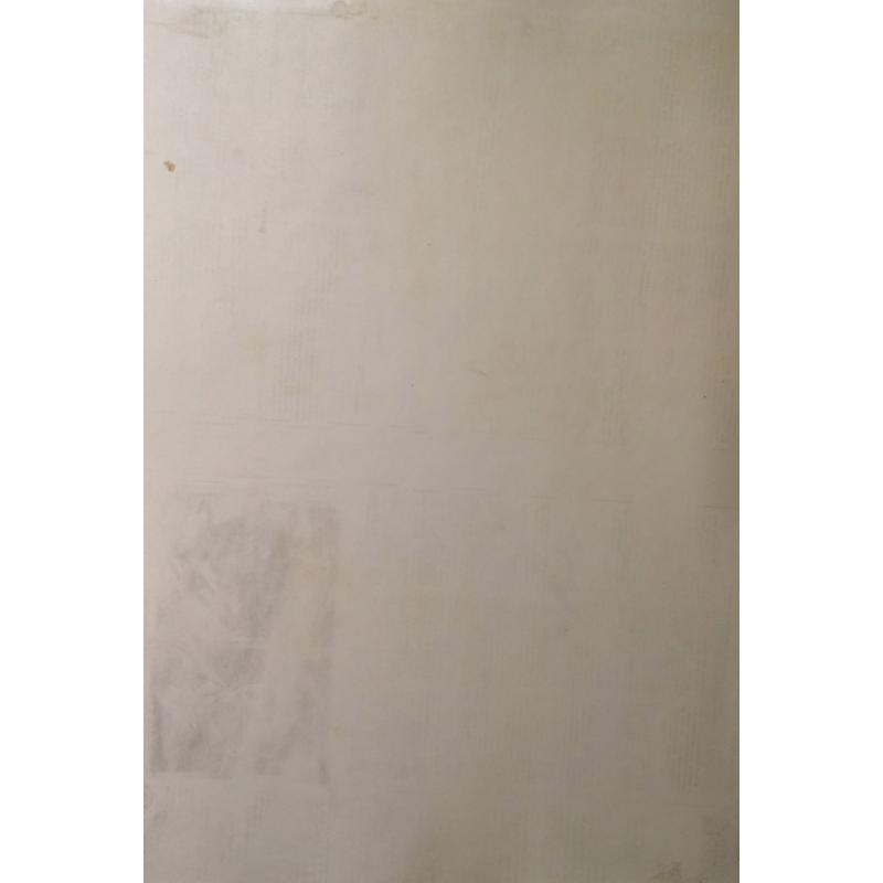 Ворошилов И.В. Портрет девушки