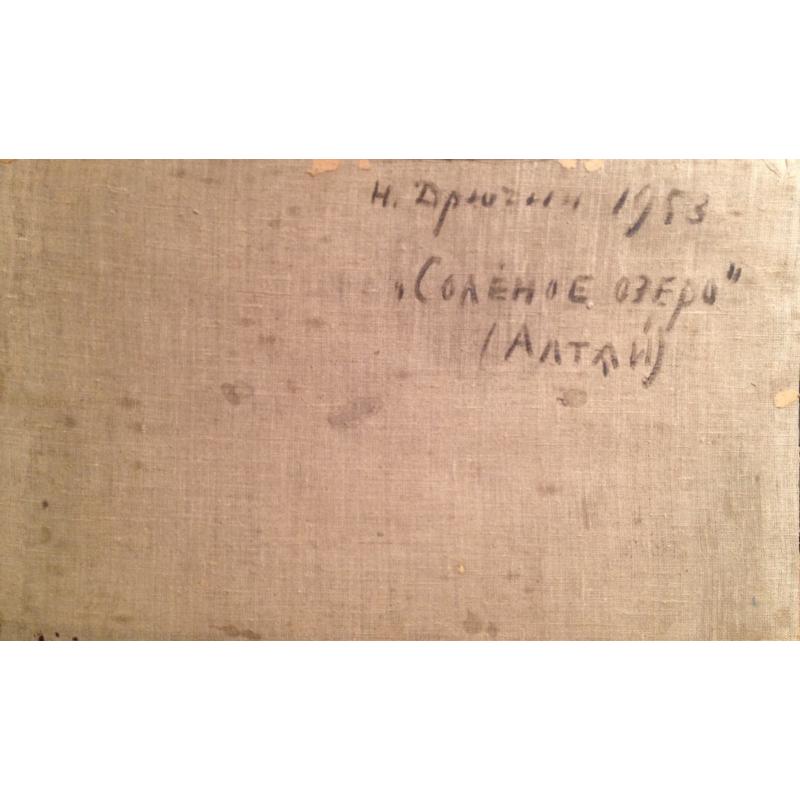 Дрючин Н. И. Соленое озеро. Алтай