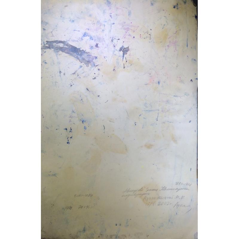 Комиссаренко З.П. Сполохи