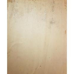 Барвенко В.П. Модель с шарфом