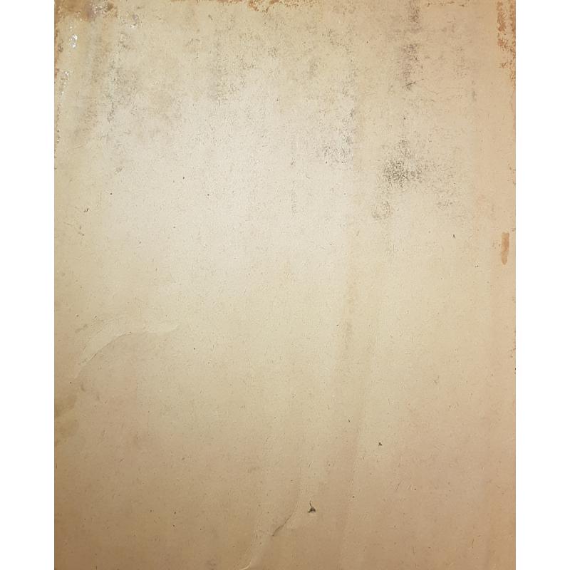 Барвенко В.П. Модель с шарфом