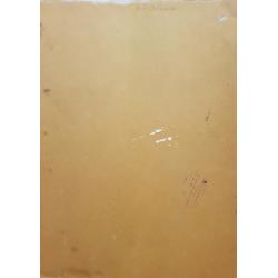 Соломин Н.К. Портрет