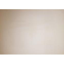 Судаков П.Ф. В Рио