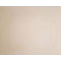 Судаков П.Ф. Уличная сценка. Рио-де-Жанейро