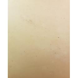 Ванециан А.В. У колодца