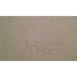 Ванеев П.И. Половодье
