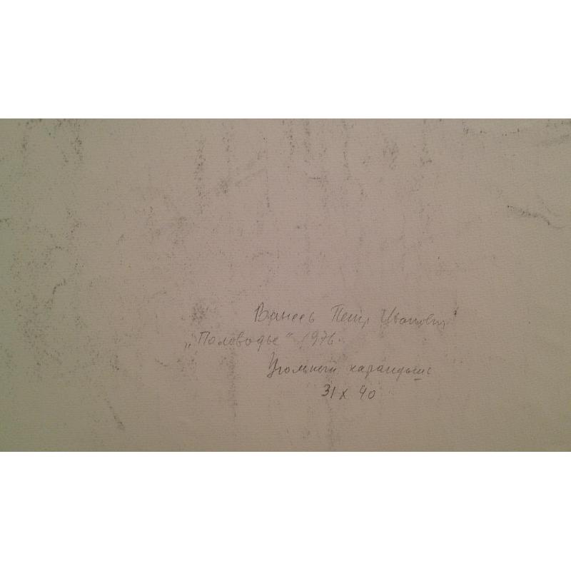 Ванеев П.И. Половодье