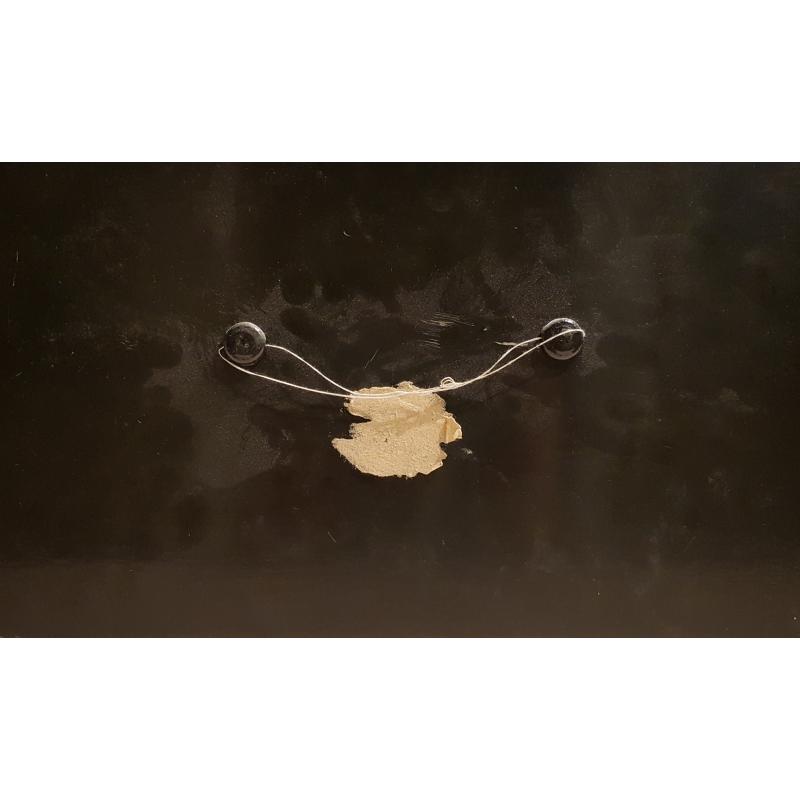 Вишняков В.В. Соколиная охота