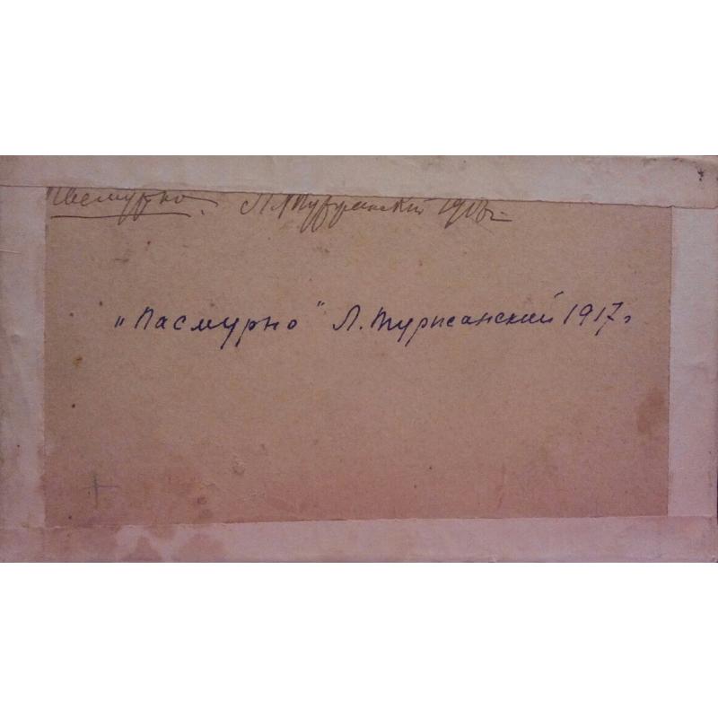 Туржанский Л. В. Пасмурно