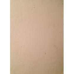 Солодовникова Н.А. Фиолетовый натюрморт