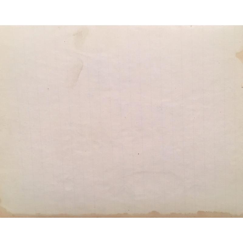 Васин В.А. Львов