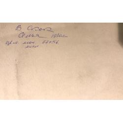 Скок В. А. Семья