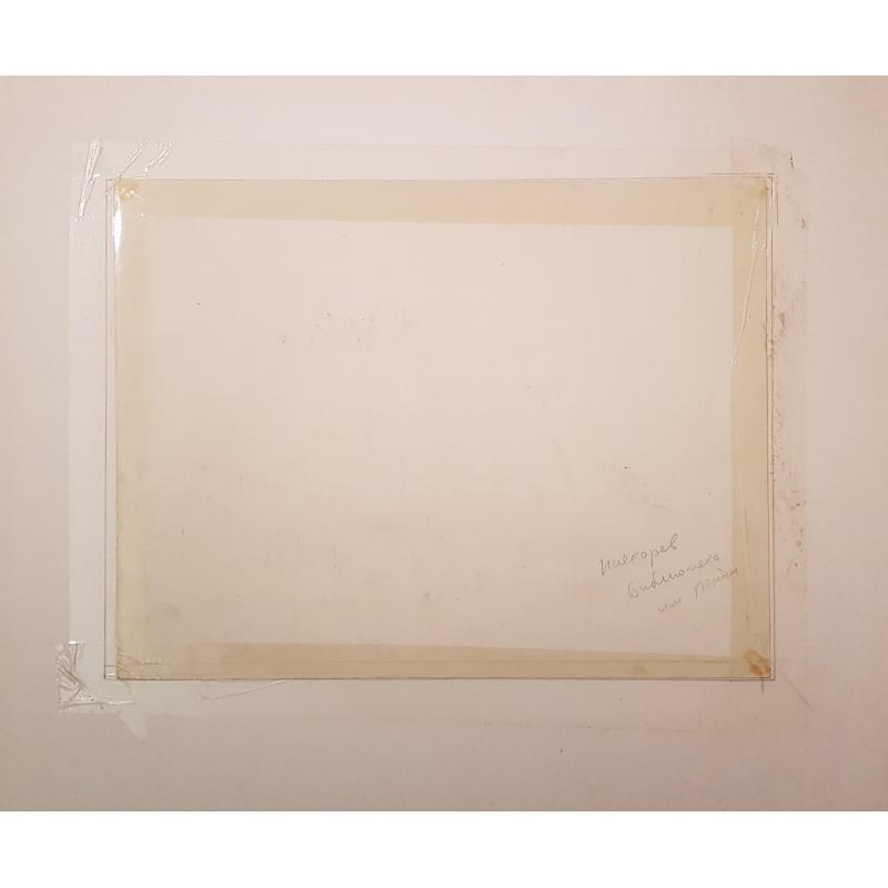 Пискарев Н.И. Библиотека имени Ленина