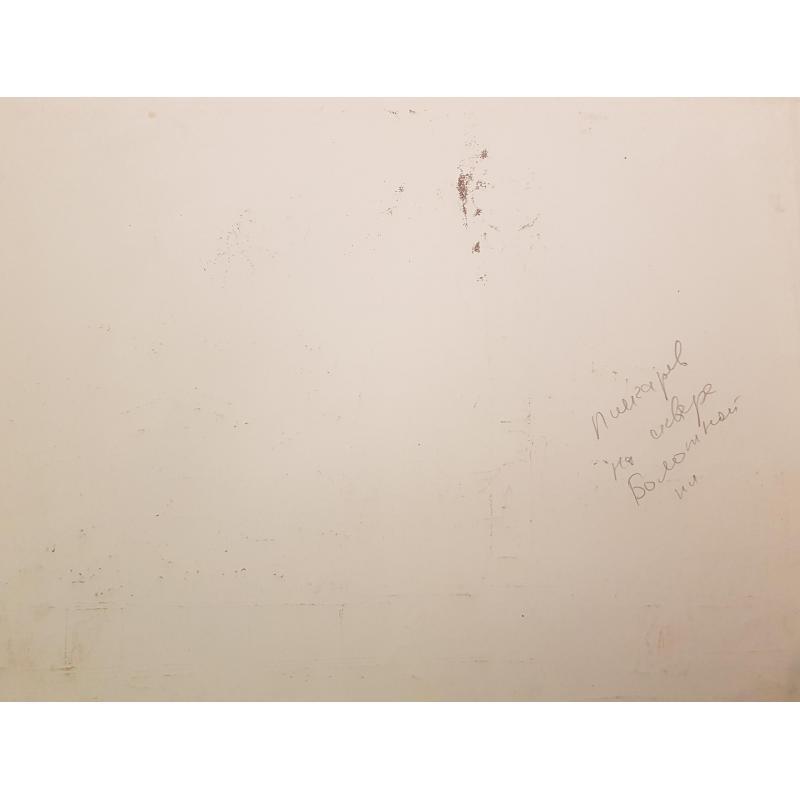 Пискарев Н.И. На сквере Болотной площади