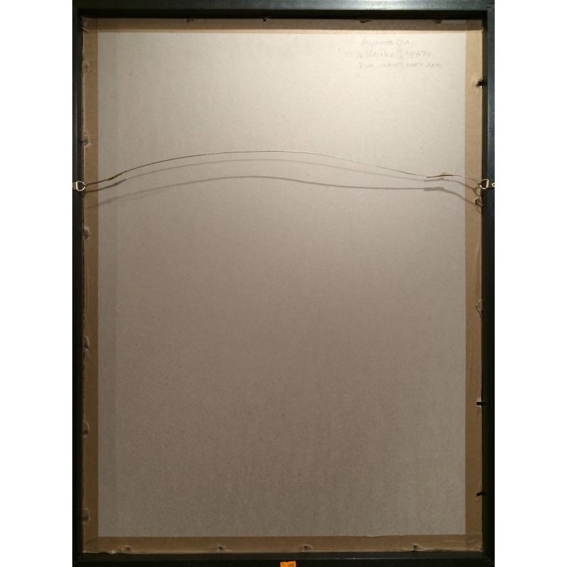 Андреев О.А. Шайба