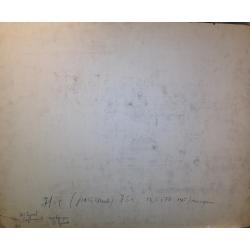 Рудаков М.З. Цветок у окна