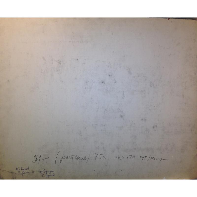 Рудаков М.З. Цветок у окна