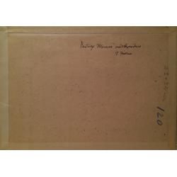 Жегин (Шехтель) Л. Ф. Разборка